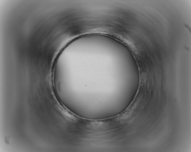 X0000091171470200708161450