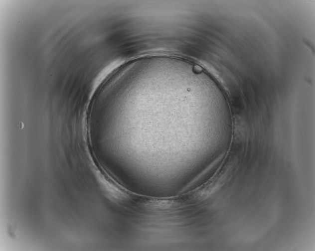 X0000091171474200708161449