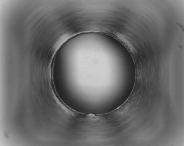 X0000091171479200708161449