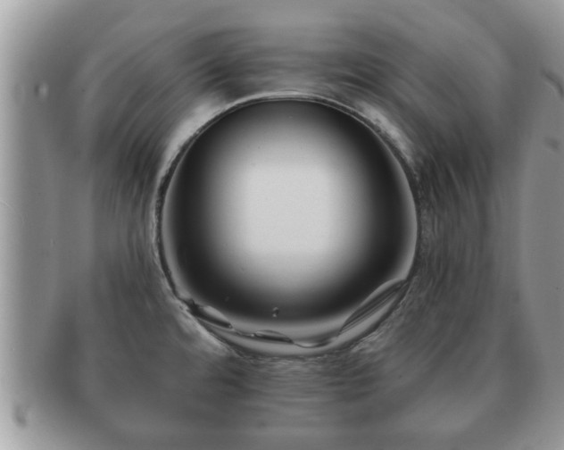 X0000091171480200708161449