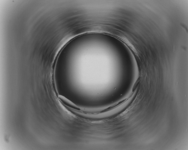 X0000091171484200708161449