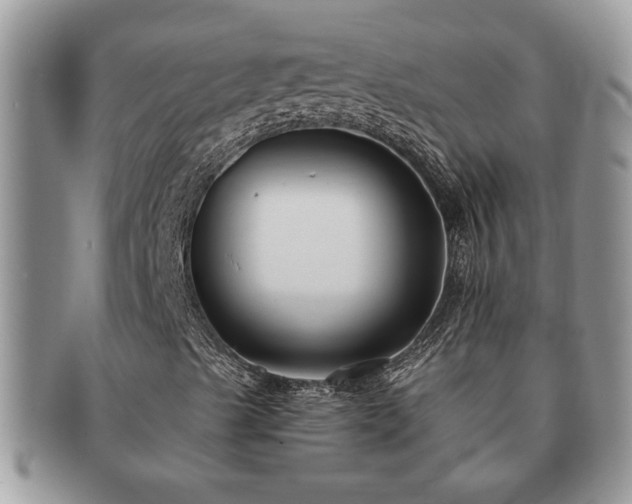 X0000091171489200708161449