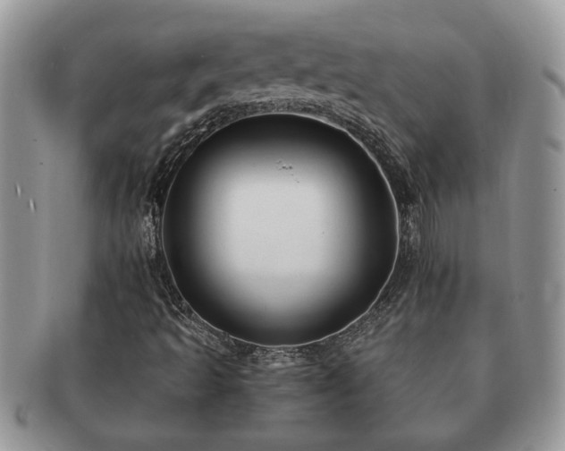 X0000091171493200708161449