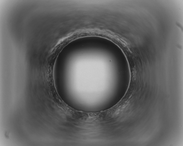 X0000091171494200708161449
