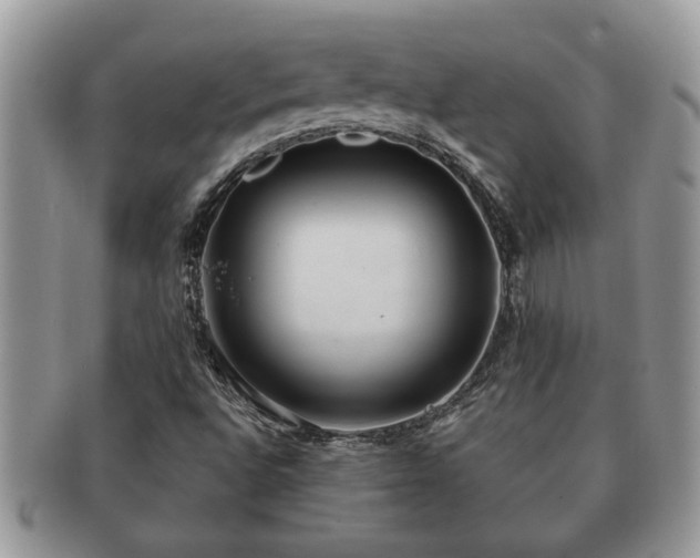X0000091171496200708161449