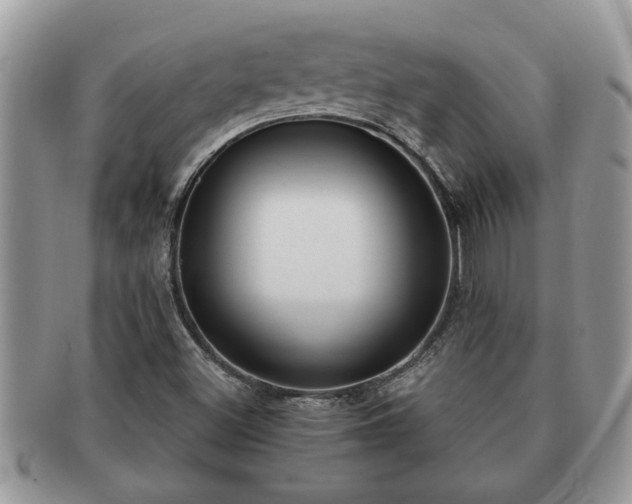 X0000091171500200708161449