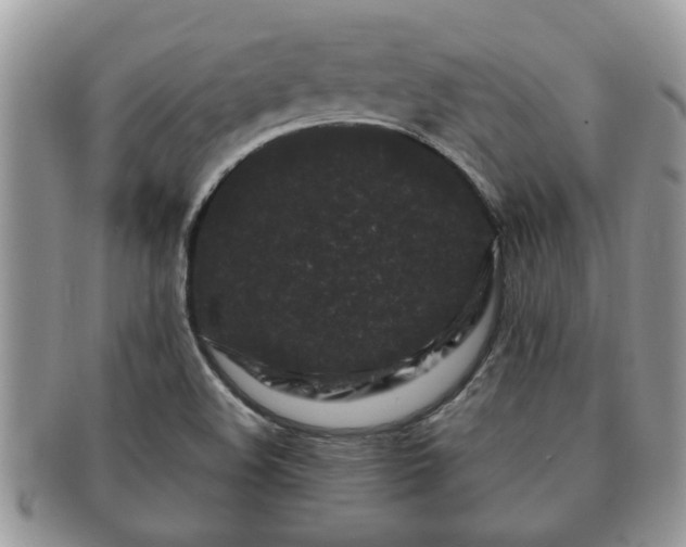 X0000091171508200708161449
