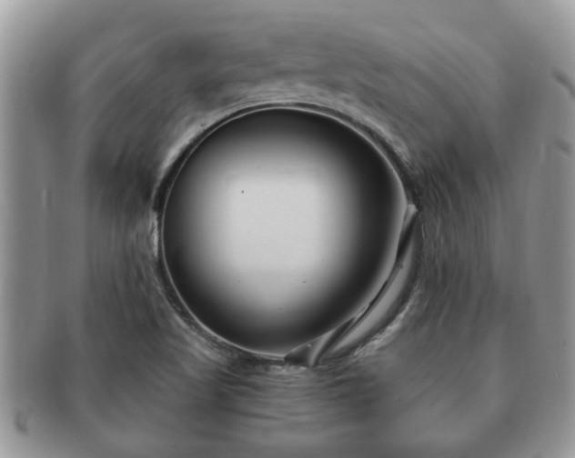 X0000091171509200708161449