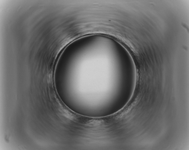 X0000091171513200708161449