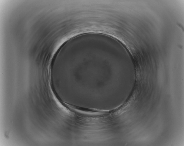 X0000091171515200708161449
