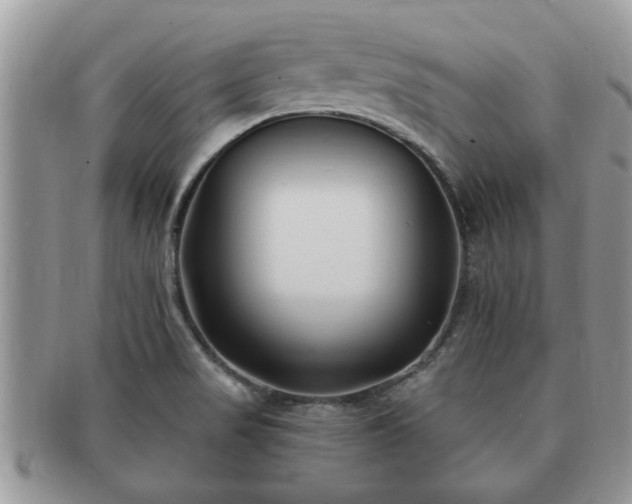 X0000091171517200708161449