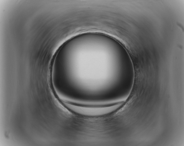 X0000091171518200708161449