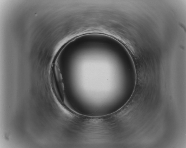 X0000091171519200708161449