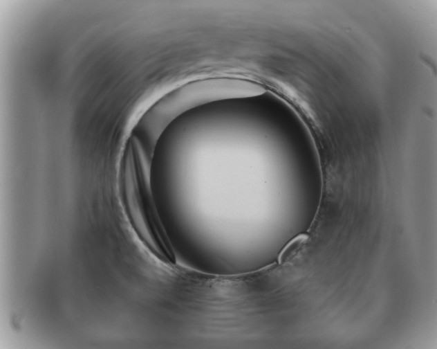 X0000091171520200708161449
