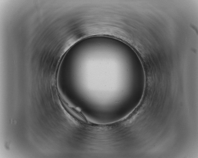 X0000091171521200708161449