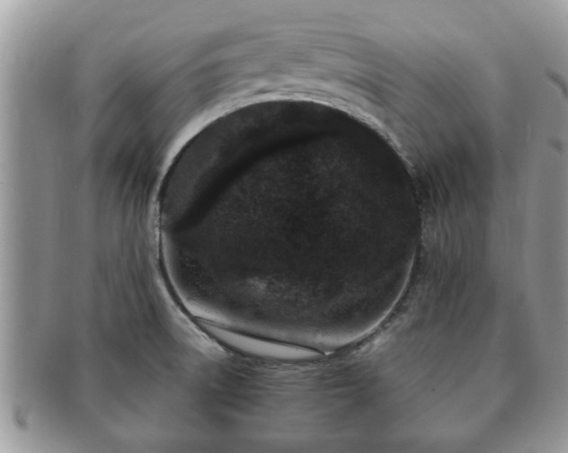 X0000091171522200708161449