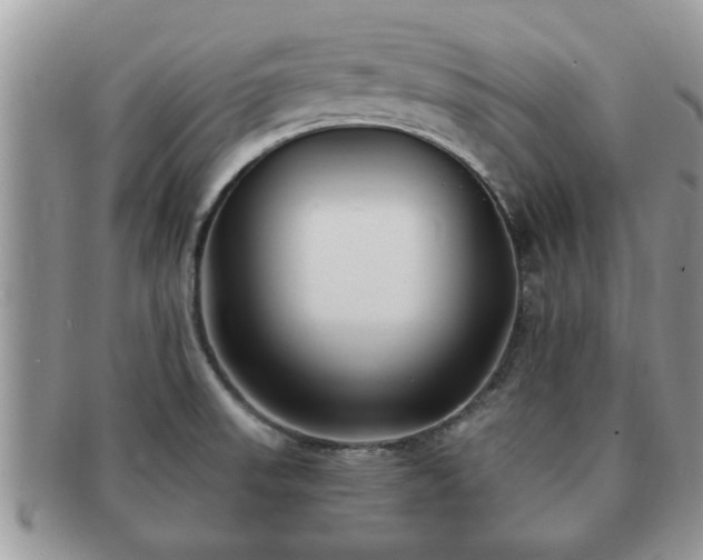 X0000091171523200708161449