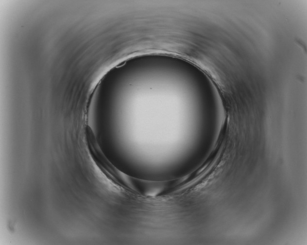 X0000091171524200708161449