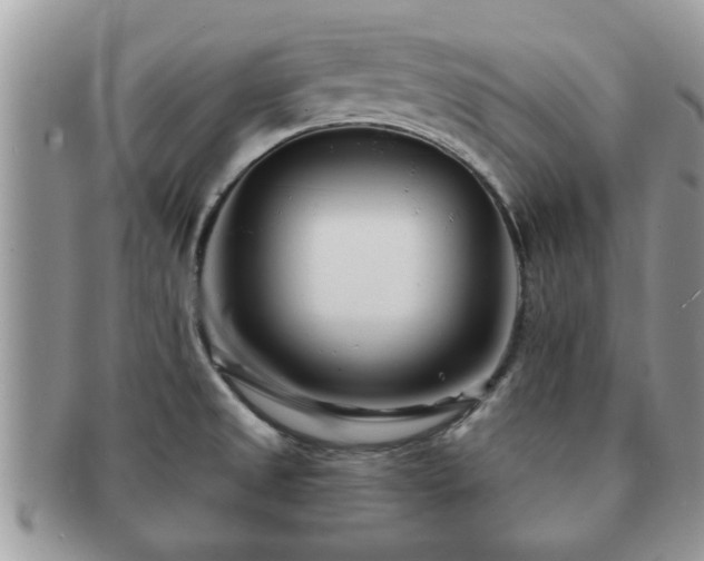 X0000091171525200708161449