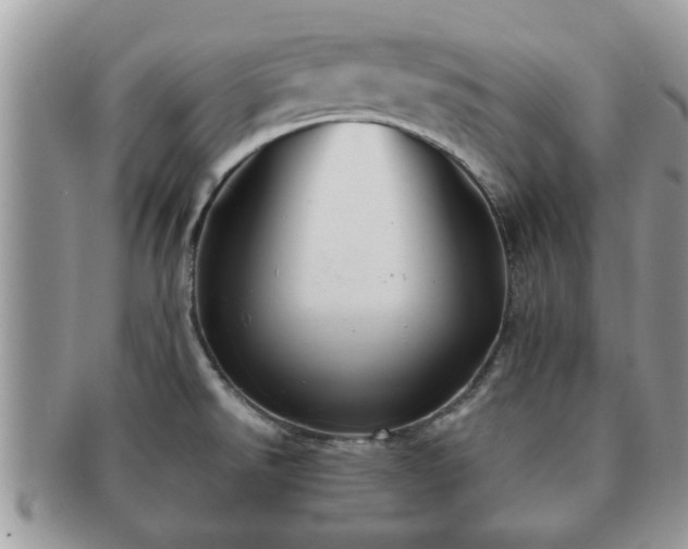X0000091171526200708161449