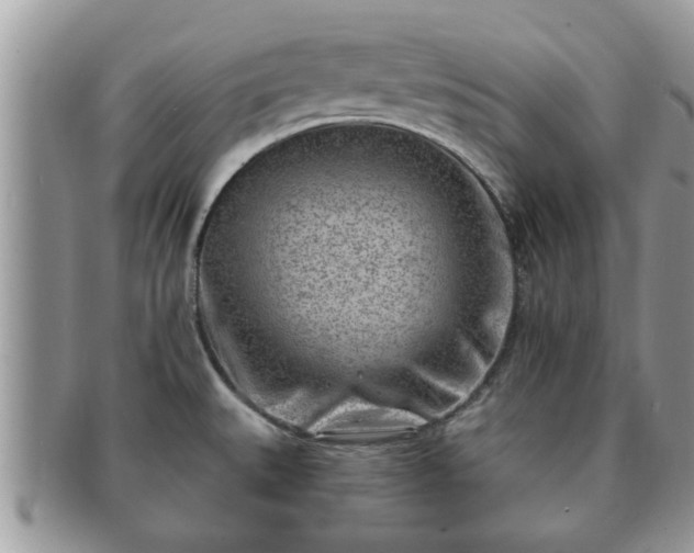 X0000091171527200708161449