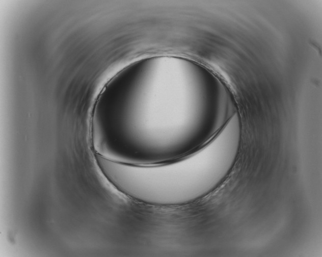 X0000091171528200708161449
