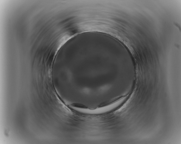 X0000091171529200708161449