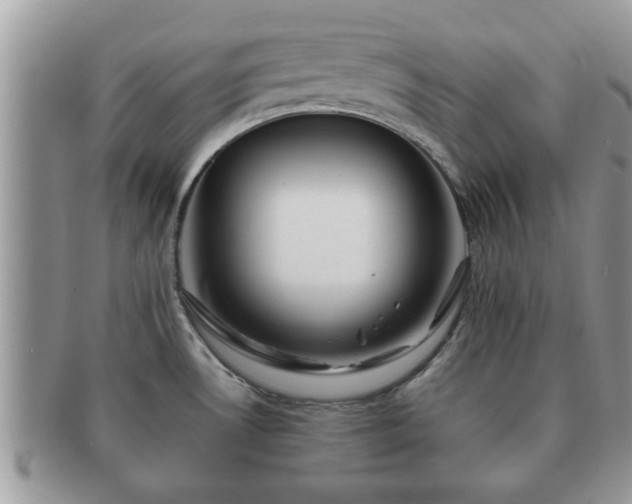 X0000091171530200708161449