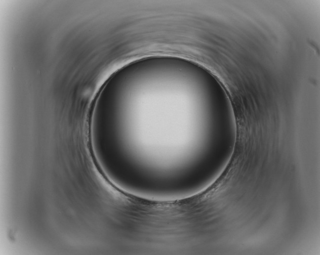 X0000091171531200708161449