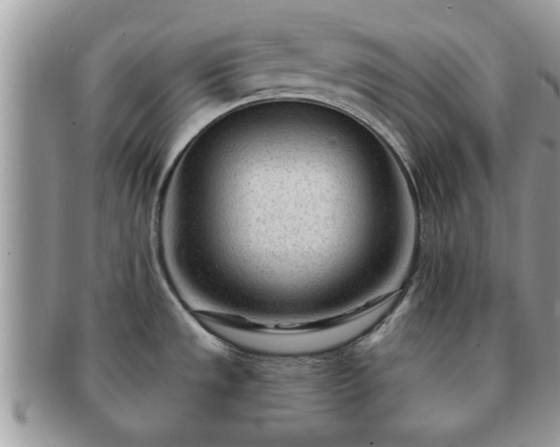 X0000091171533200708161449