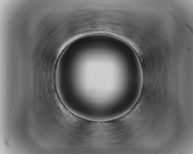 X0000091171534200708161449