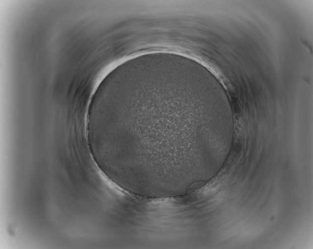 X0000091171535200708161449