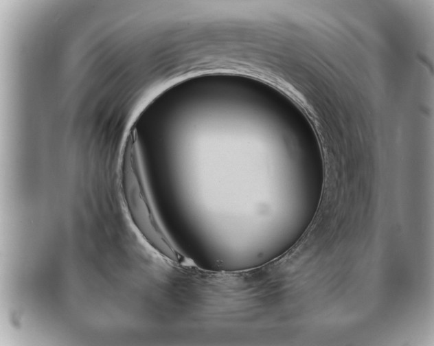 X0000091171536200708161449
