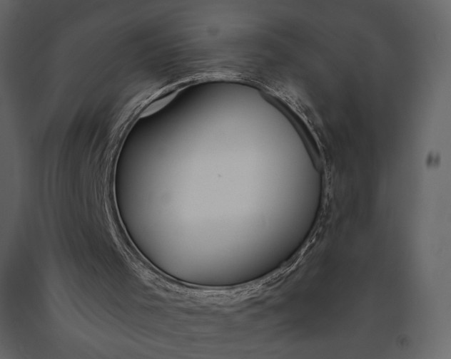 X0000091170001200708231516