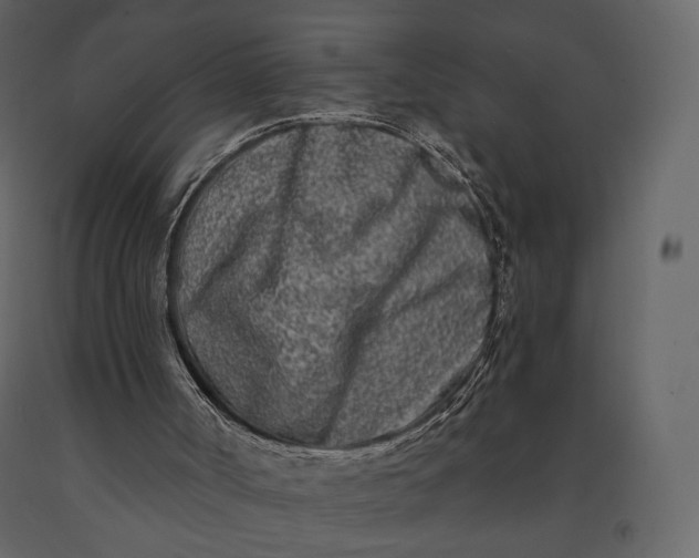 X0000091170002200708231516