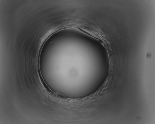 X0000091170003200708231516