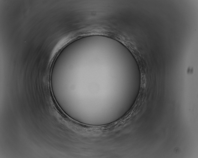 X0000091170004200708231516