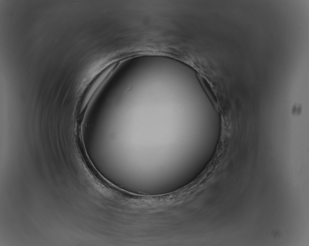 X0000091170005200708231516