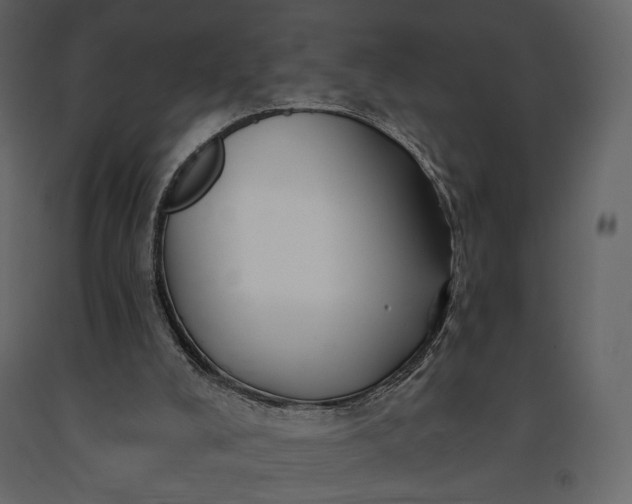 X0000091170008200708231516