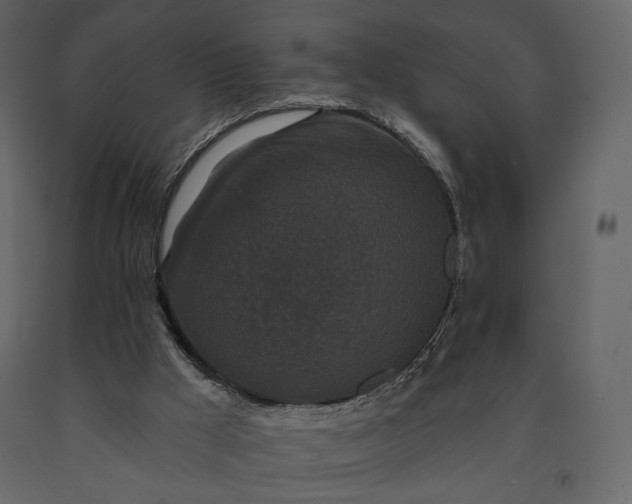 X0000091170009200708231516