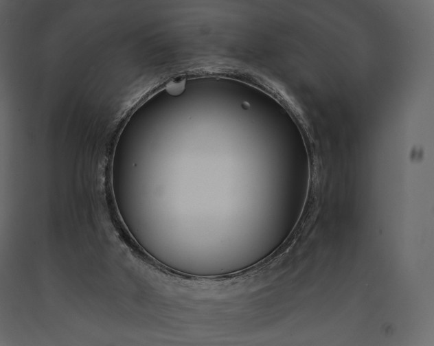 X0000091170010200708231516