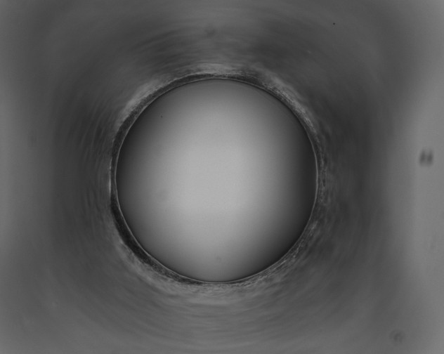 X0000091170011200708231516