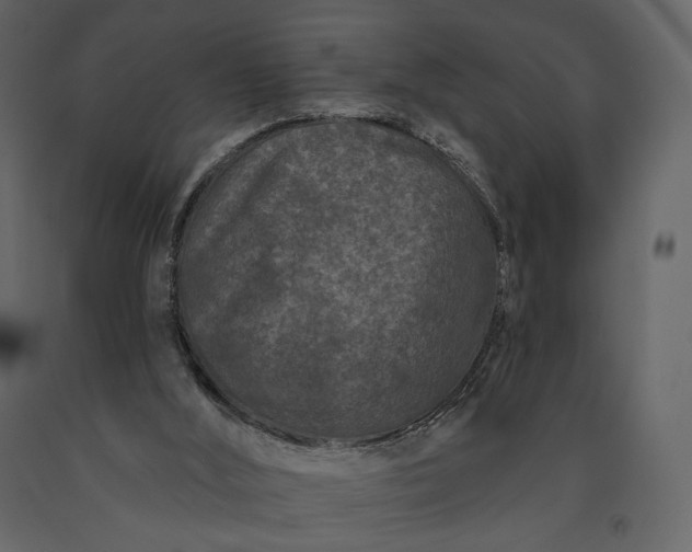 X0000091170012200708231516