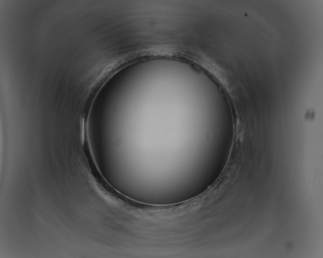 X0000091170013200708231516