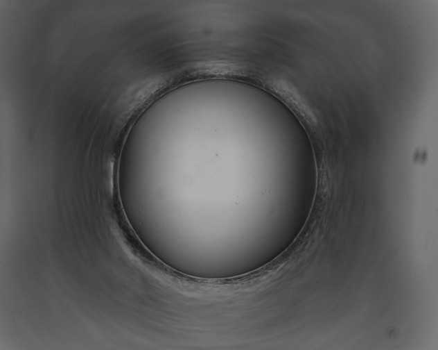 X0000091170014200708231516