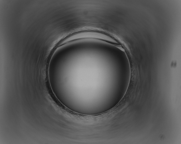 X0000091170015200708231516