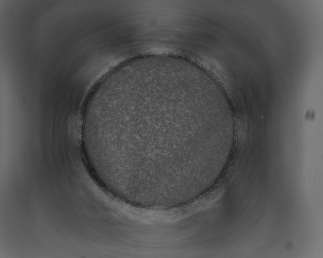 X0000091170016200708231516