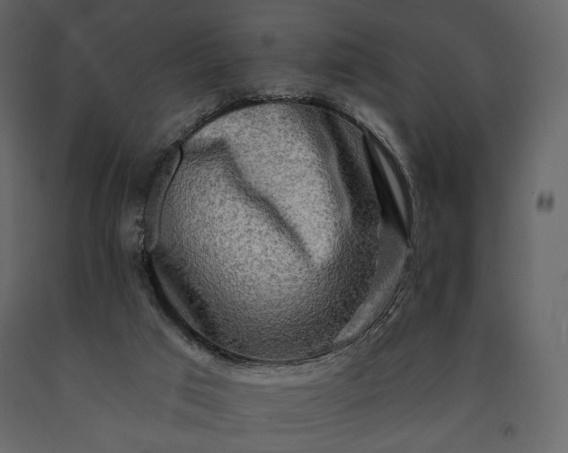 X0000091170017200708231516