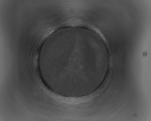 X0000091170018200708231516