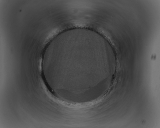 X0000091170019200708231516